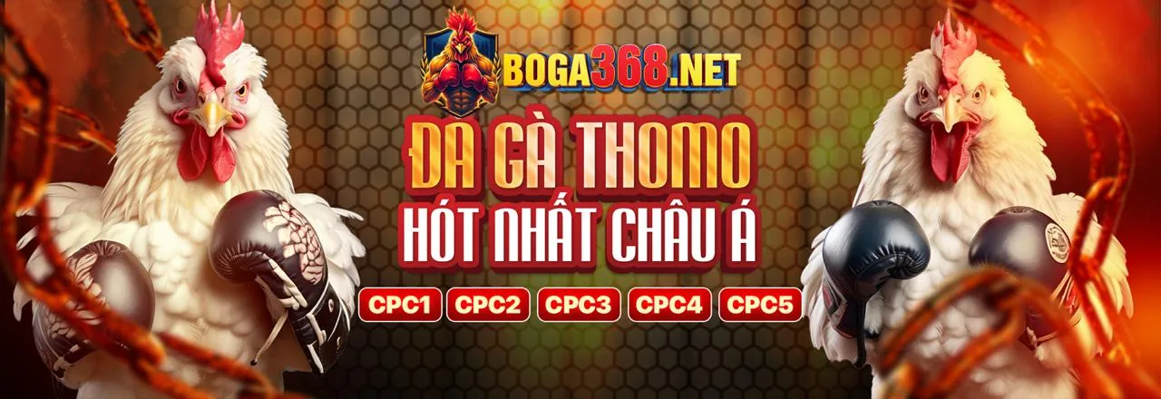 Hình ảnh chính về chiến lược chơi bong88 nổ hũ