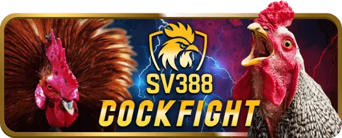 Chiến lược chơi slot game bong88 nổ hũ để giành jackpot